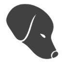 API