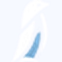 Pipo.vc logo