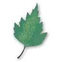pirkkalainen.fi logo