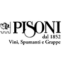 pisoni.it icon