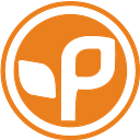 Pistil Designs