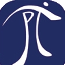 Pitech Solutions Inc logo