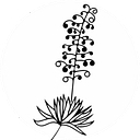piteiraphotography.com icon