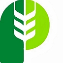 Pitura Seeds logo