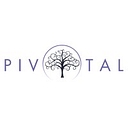Dudhoria Consultancy Services Pvt Ltd logo