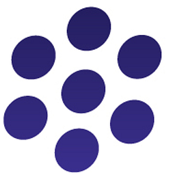 Pixelligent Technologies, LLC logo