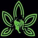 Pjbold logo