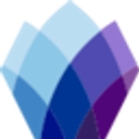 Pj Solomon logo