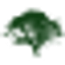 THE PATRICIA KIND FAMILY FOUNDATION logo