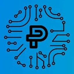 Planet Soft LLC logo