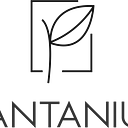 Plantanium logo