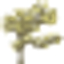 Plantation Nursing and Rehabilitation Center