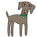 PLANTERS BANK & TRUST CO