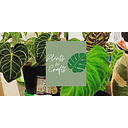Plants n' Crafts