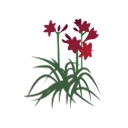 Plants By Design Inc logo