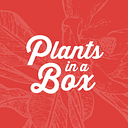 Plants in a box