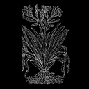 Plant Specialists logo