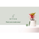 Favicon of Plant With Willow