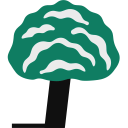 Platane Limited logo