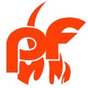 Platinum Fire Protection & Services LLC