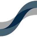 Platinum Systems, Inc. logo