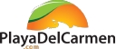 playadelcarmen.com logo