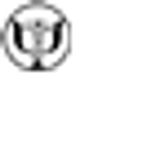 Playa Vista Mental Health logo