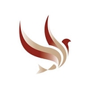 Playfair Planning Services logo