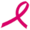Play for Pink Inc logo
