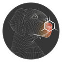 Playology