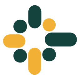 PlayWise logo