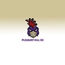 Pleasant Hill R Iii School District logo