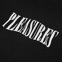 Logo for pleasuresnow.com
