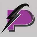 Plesh Electric logo