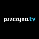 pless.pl logo