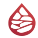 Plexus Haematology logo