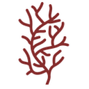 Plocamium Holdings LLC logo