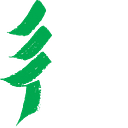 American Forest Foundation logo