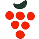 Favicon of Les Grappes Pro Direct Vigneron