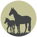 Plum Creek Recovery Ranch