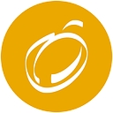 Plum Ideas logo