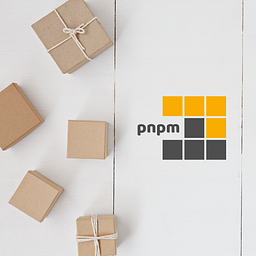 pnpm logo
