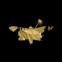 Poets of the Fall logo