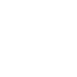 PointOne logo