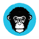 PolarMonkeys logo