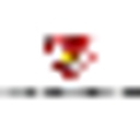 policlinicasanmartin.es icon