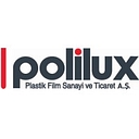 PHINIA Otomotiv Sistemleri Sanayi ve Ticaret Anonim Sirketi - (Turkey) logo