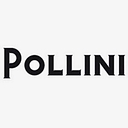 Favicon of Pollini Retail