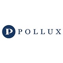 Pollux Systems Inc logo