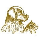 Polo Springs Veterinary Hospital